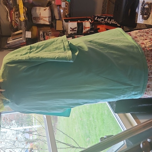 Chicken Whisperer t-shirt โ LG โ Mint Green color โ Rooster โ 100% preshrunk cot - Picture 3 of 11